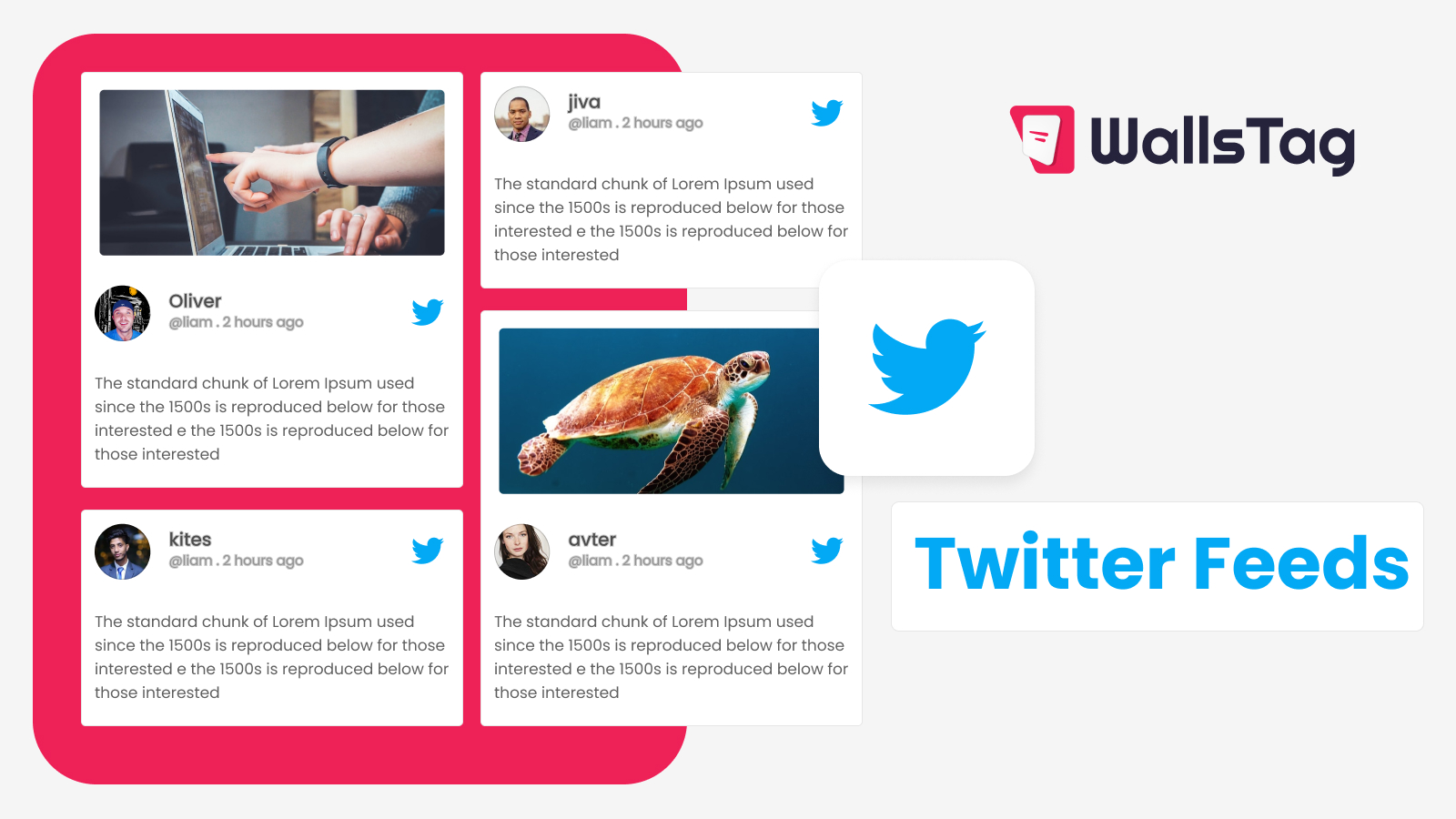 What are the Different Types of Social Wall Examples and How Can They Help My Business